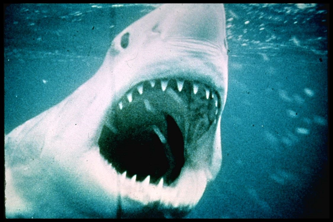 Jaws (50th Anniversary) 3D